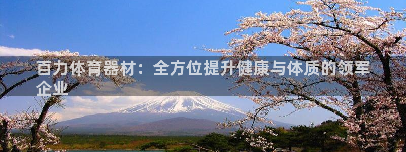 极悦平台登录入口注册不了：百力体育器材：全方位提升健