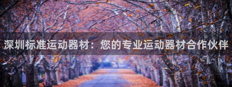 极悦平台官网登录不了怎么办：深圳标准运动器材：您的专