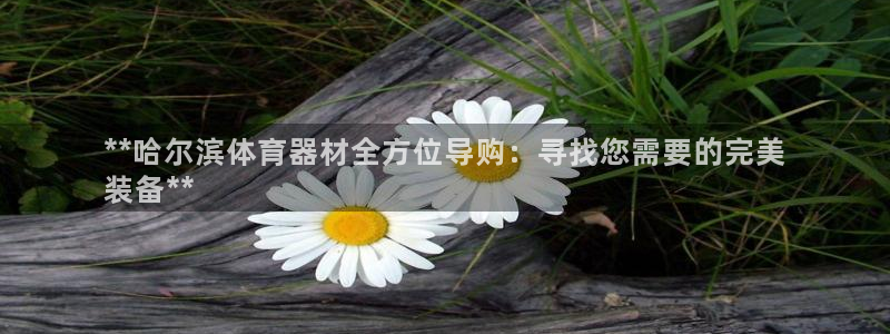 极悦娱乐官网入口：**哈尔滨体育器材全方位导购：寻找