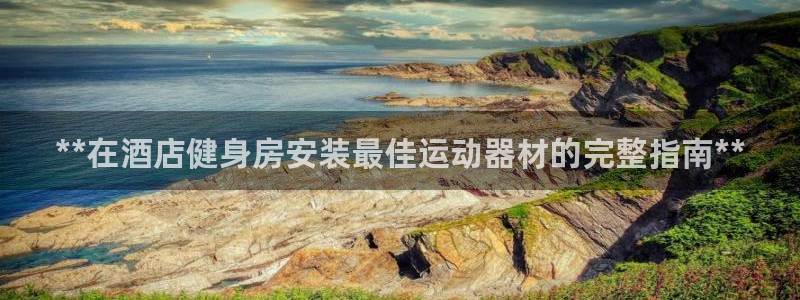 极悦生活家是什么平台的软件：**在酒店健身房安装最佳