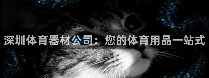极悦娱乐代理多少钱：深圳体育器材公司：您的体育用品一