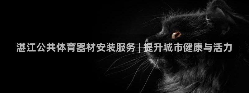 极悦平台登录方式是什么：湛江公共体育器材安装服务 |