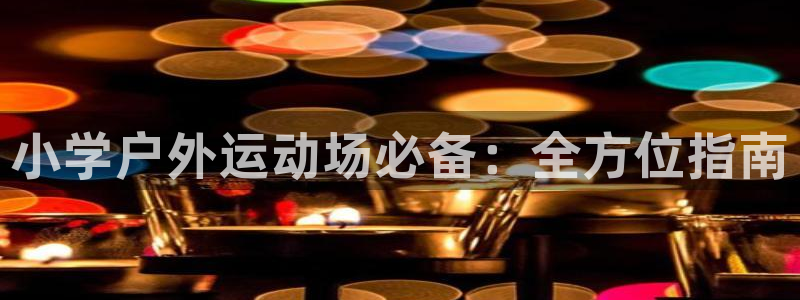 极悦平台用户评价与反馈在哪里：小学户外运动场必备：全