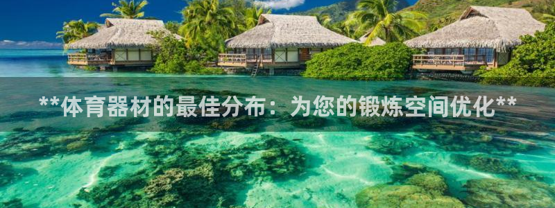 极悦平台安全吗是真的吗：**体育器材的最佳分布：为您