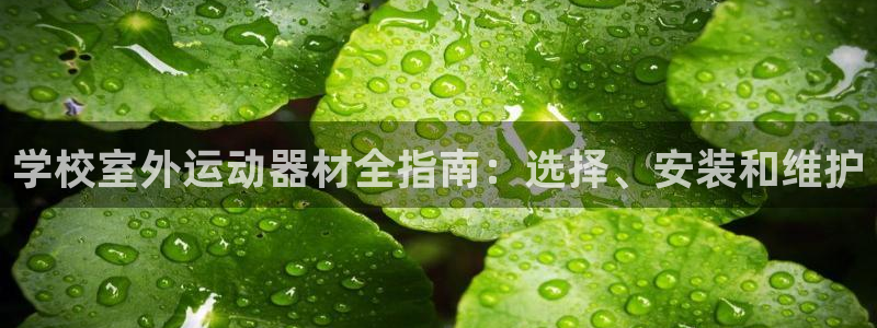 极悦平台注册官方网站下载手机版：学校室外运动器材全指