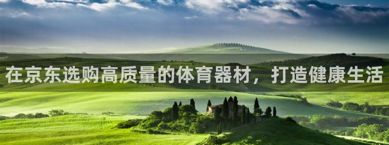 极悦平台客服的联系方式是多少：在京东选购高质量的体育
