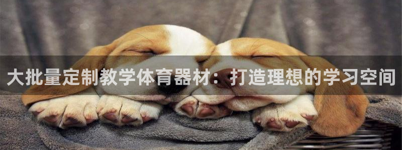 极悦平台客服团队介绍：大批量定制教学体育器材：打造理