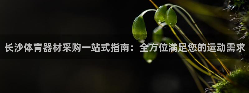 极悦娱乐公司最新招聘信息官网：长沙体育器材采购一站式