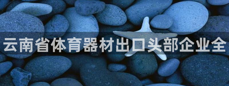 极悦平台注册和登录页面一样吗：云南省体育器材出口头部