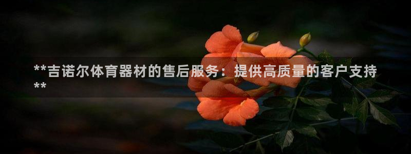极悦娱乐官方网站入口：**吉诺尔体育器材的售后服务：