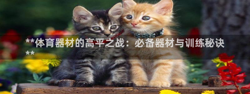 极悦平台注册和登录页面不一样：**体育器材的高平之战