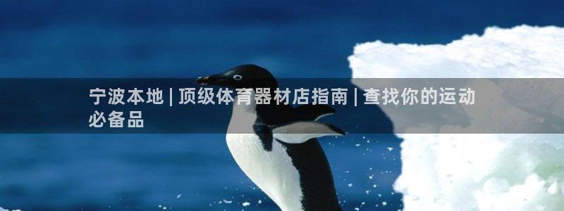 极悦官网首页登录入口：宁波本地 | 顶级体育器材店指