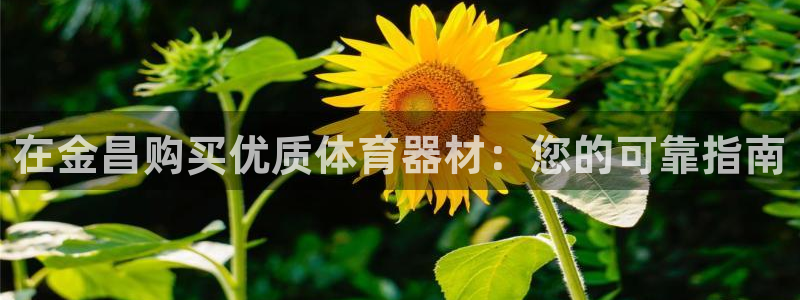 极悦娱乐会被骗吗知乎：在金昌购买优质体育器材：您的可