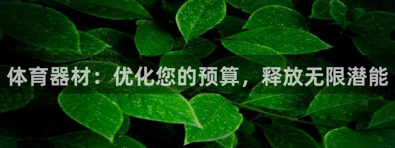 极悦官网首页登录入口下载：体育器材：优化您的预算，释