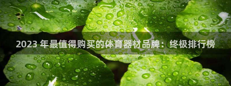极悦平台登录不进去怎么回事儿：2023 年最值得购买