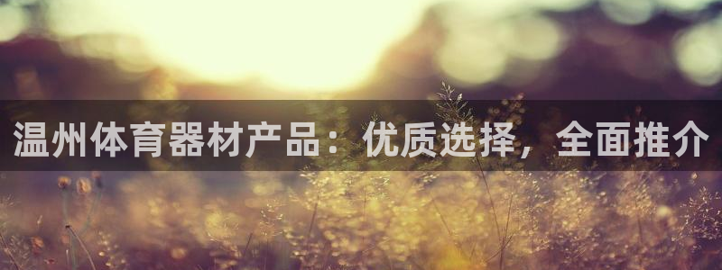 极悦平台注册用户名格式不正确：温州体育器材产品：优质