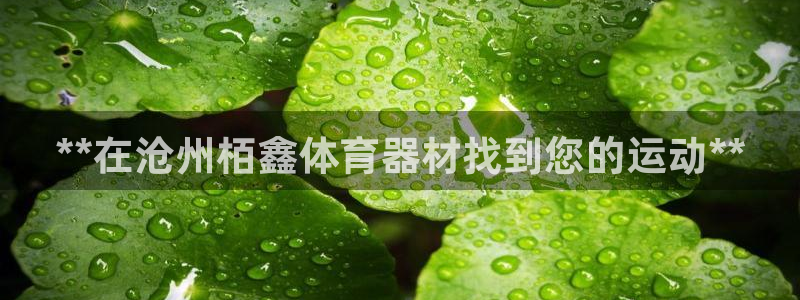 极悦平台注册登录不了：**在沧州栢鑫体育器材找到您的