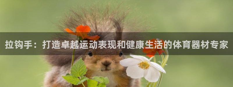 极悦平台注册官网：拉钩手：打造卓越运动表现和健康生活