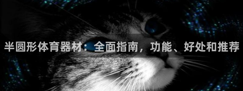 极悦娱乐会被骗吗知乎小说：半圆形体育器材：全面指南，
