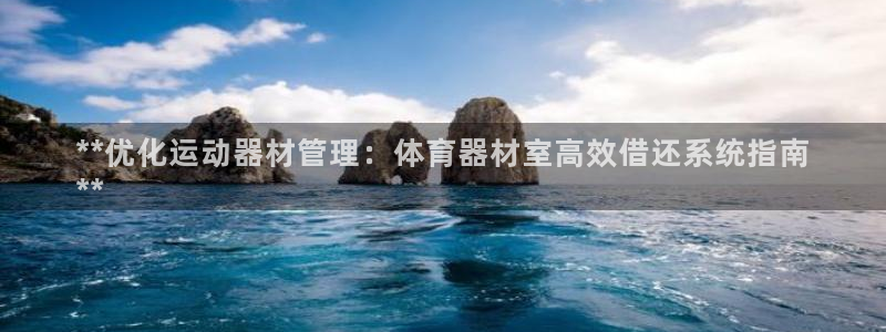 极悦平台创始人背景故事：**优化运动器材管理：体育器