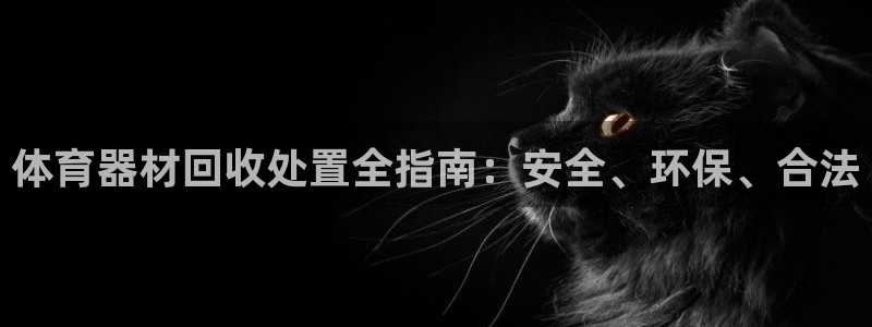 极悦娱乐代理怎么样知乎：体育器材回收处置全指南：安全