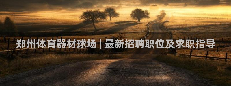 极悦平台官网登录最新版本更新内容介绍：郑州体育器材球