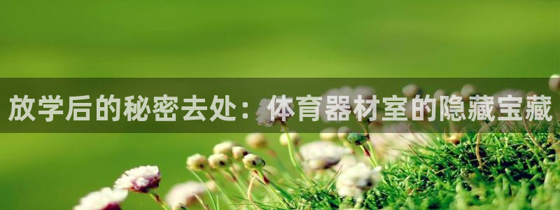 极悦娱乐官网入口下载：放学后的秘密去处：体育器材室的