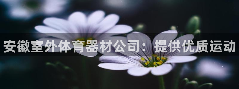 极悦平台客服的联系方式是：安徽室外体育器材公司：提供