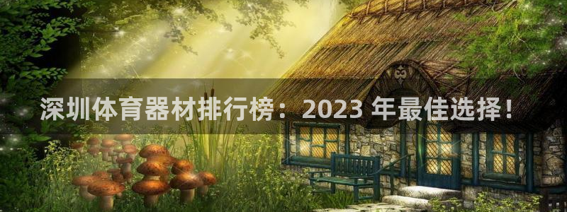 极悦平台app二维码怎么弄出来：深圳体育器材排行榜：