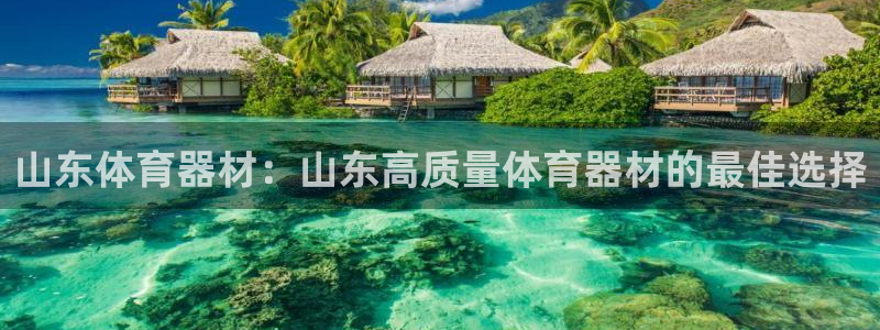 极悦平台注册登录入口官网：山东体育器材：山东高质量体