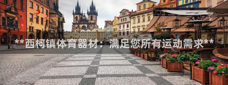 极悦官网入口登录：**西柯镇体育器材：满足您所有运动