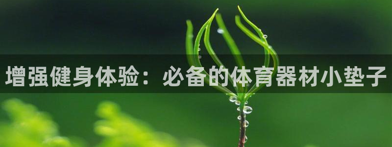 极悦娱乐下载安装手机版：增强健身体验：必备的体育器材