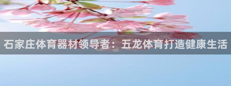 极悦平台注册官方网站下载安卓手机：石家庄体育器材领导