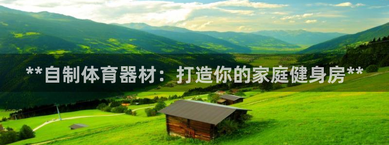 极悦平台客服团队：**自制体育器材：打造你的家庭健身