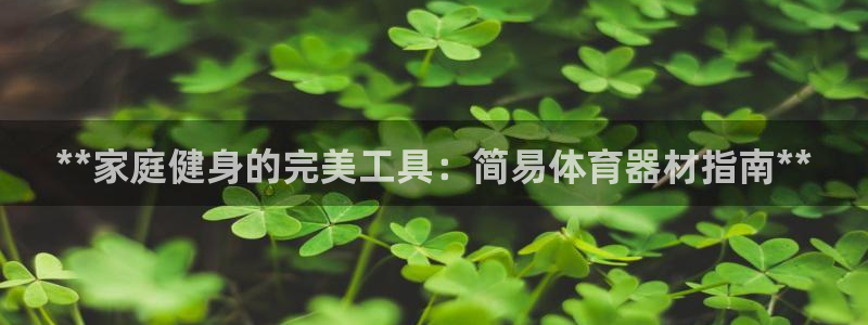 极悦娱乐代理怎么样知乎：**家庭健身的完美工具：简易