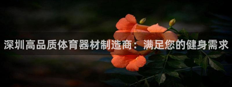 极悦平台平台注册方法与步骤图：深圳高品质体育器材制造
