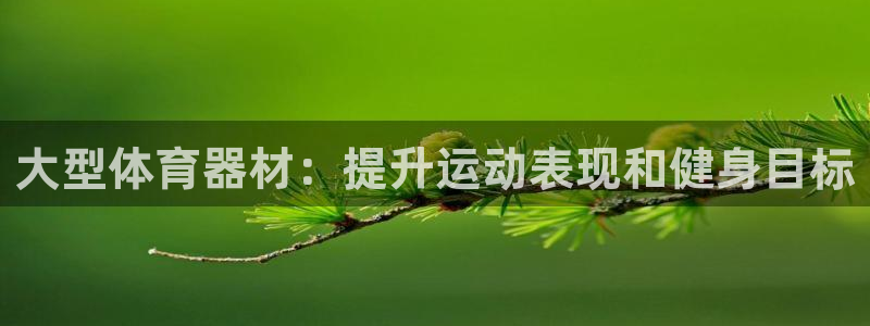 极悦平台注册流程详解：大型体育器材：提升运动表现和健