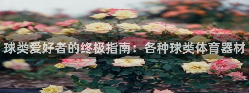极悦娱乐的背景和历史背景介绍：球类爱好者的终极指南：