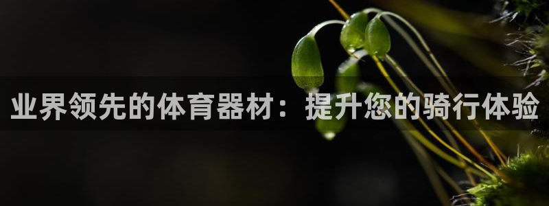 极悦平台注册官方网站下载：业界领先的体育器材：提升您