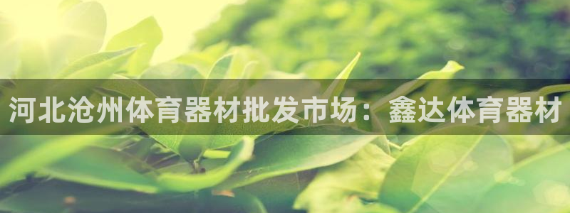 极悦平台官方网站下载安装：河北沧州体育器材批发市场：