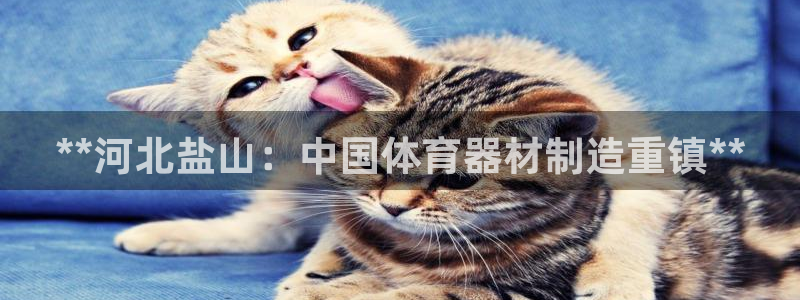 极悦平台是正规平台吗安全吗可靠吗：**河北盐山：中国