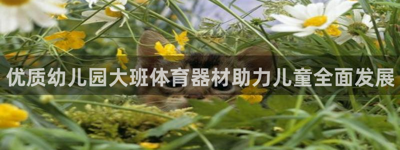 极悦平台创始人背景故事视频：优质幼儿园大班体育器材助