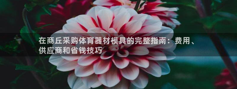 极悦平台用户评价：在商丘采购体育器材模具的完整指南：
