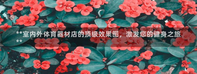 极悦平台股东：**室内外体育器材店的顶级效果图，激发
