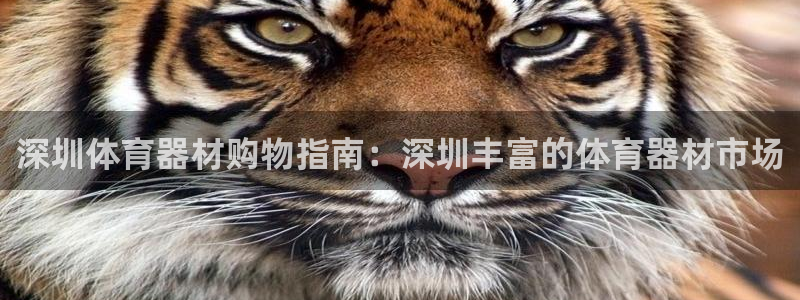 极悦娱乐公司最新招聘信息电话：深圳体育器材购物指南：