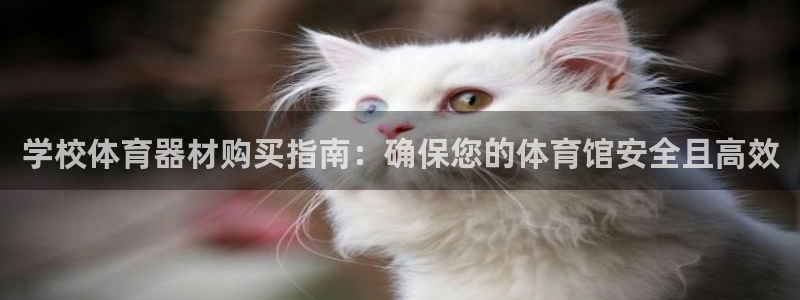 极悦平台注册用户名生成器是什么：学校体育器材购买指南