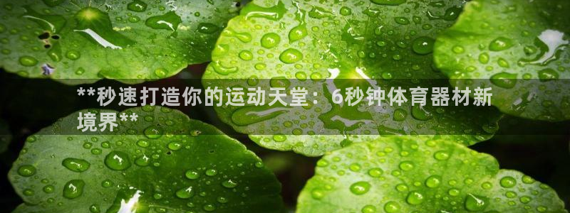 极悦平台和蓝狮平台区别：**秒速打造你的运动天堂：6