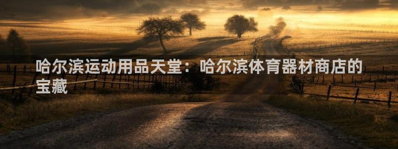 极悦平台有风险吗现在：哈尔滨运动用品天堂：哈尔滨体育