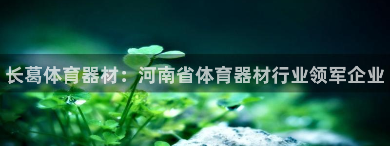 极悦平台官网登录入口网址：长葛体育器材：河南省体育器