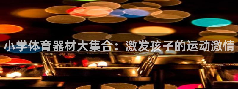 极悦平台注册流程图片：小学体育器材大集合：激发孩子的